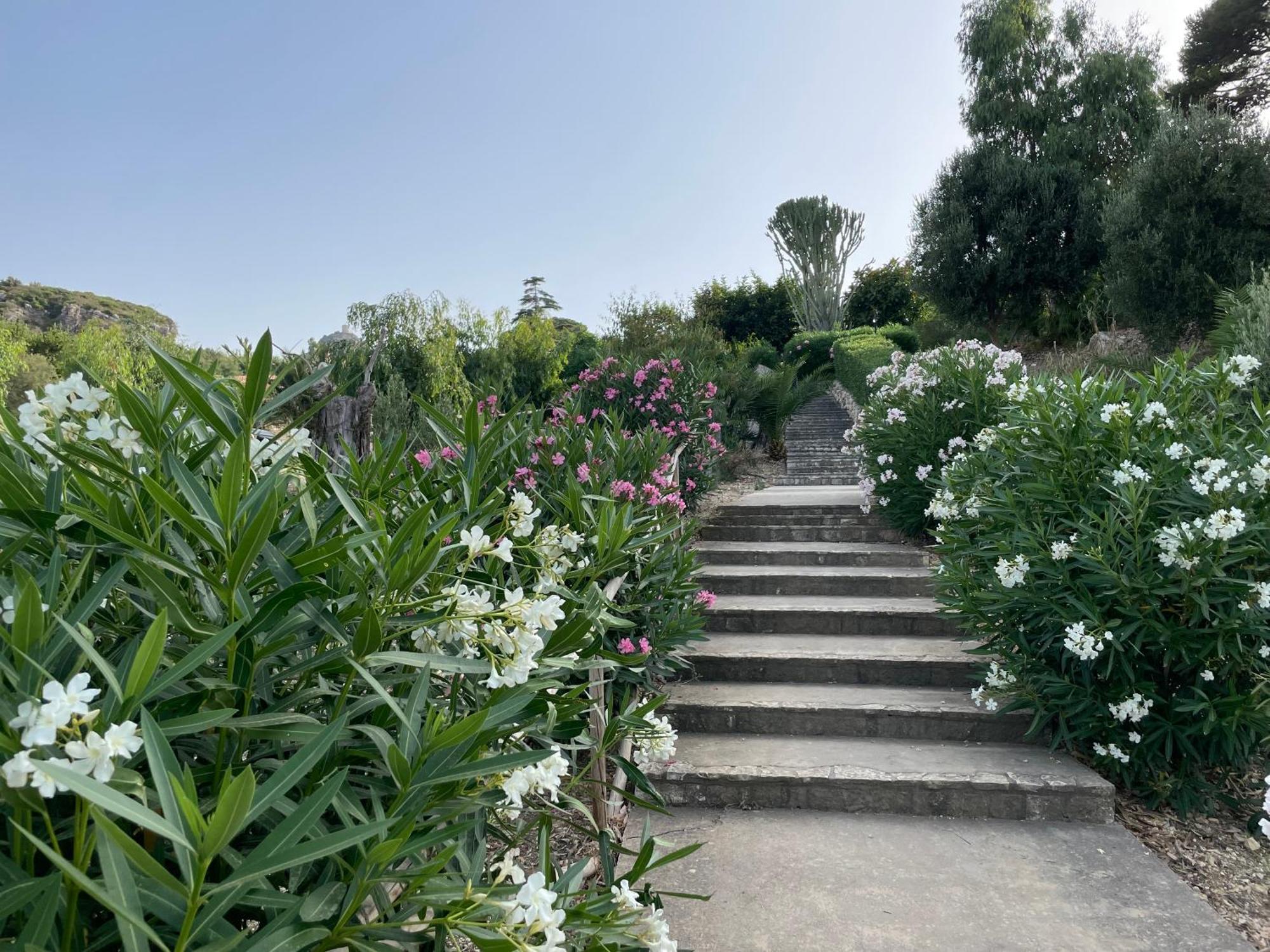 Villa Hibiscus Scopello Scopello  Exteriér fotografie