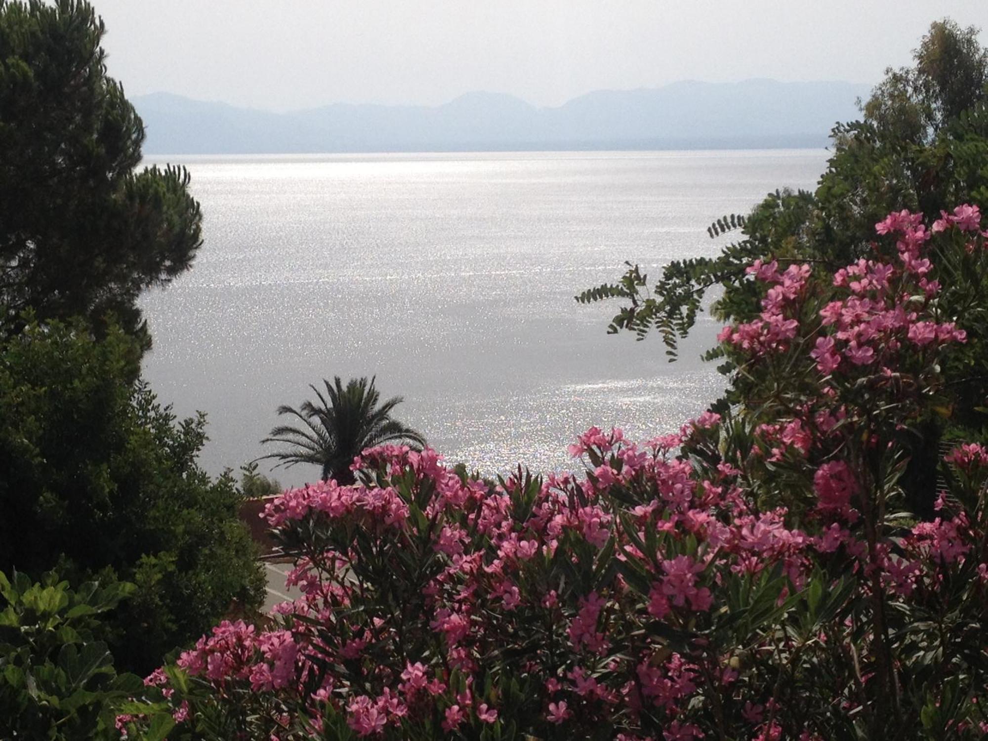 Villa Hibiscus Scopello Scopello  Exteriér fotografie